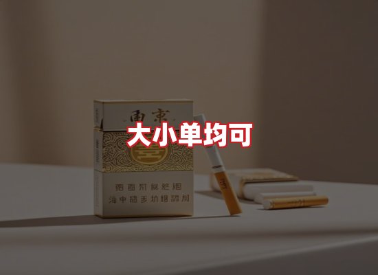 专业团队